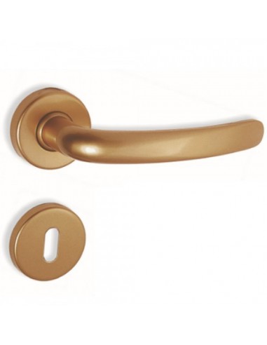 Πόμολο χερούλι με ροζέτα σειρά C605