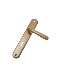 Πόμολο χερούλι με μονοκόμματη πλάκα σειρά 155