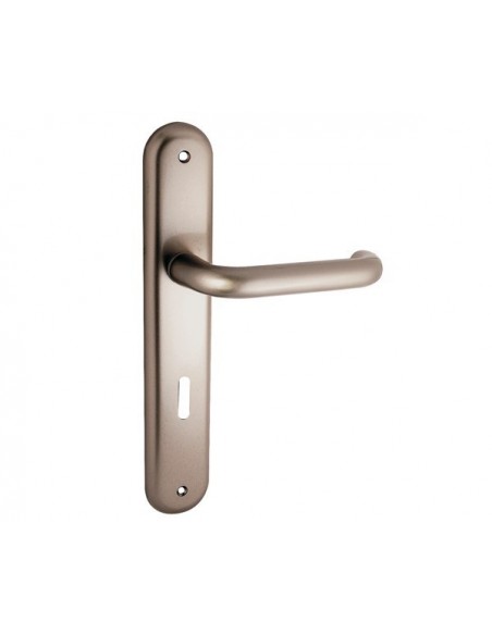 Πόμολο χερούλι με μονοκόμματη πλάκα σειρά C495