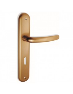 Πόμολο χερούλι με μονοκόμματη πλάκα σειρά C605 2