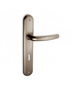 Πόμολο χερούλι με μονοκόμματη πλάκα σειρά C605