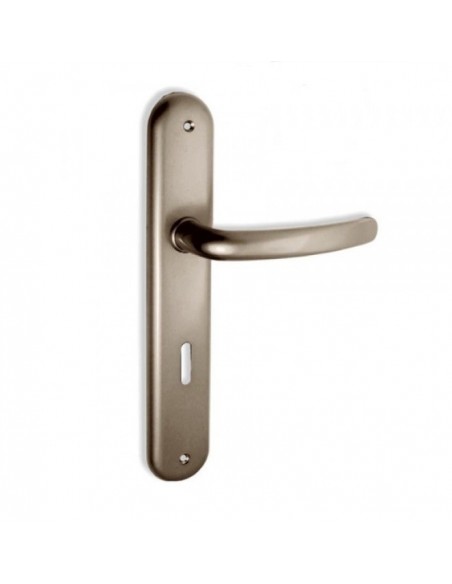 Πόμολο χερούλι με μονοκόμματη πλάκα σειρά C605