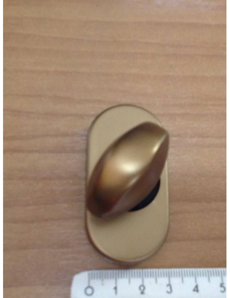 Shutter armored door