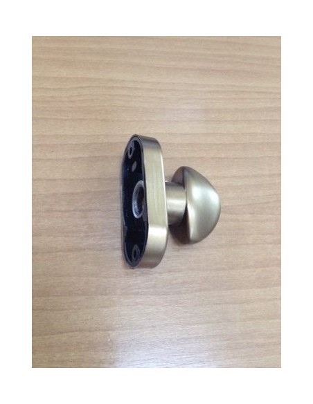 Shutter armored door