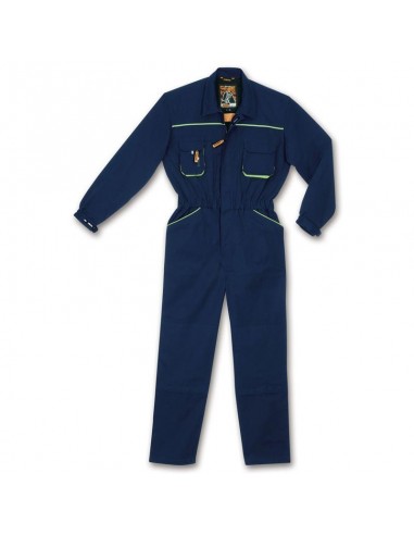 ΦΟΡΜΑ ΕΡΓΑΣΙΑΣ  7955