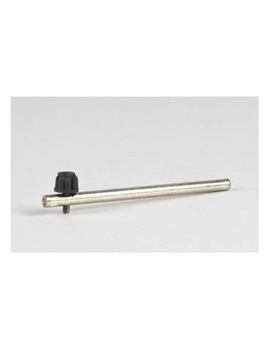 Σύρτης στρογγυλός