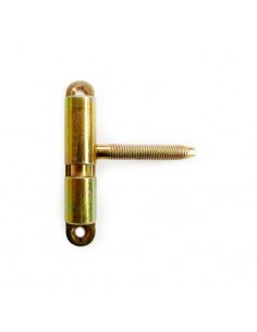 Screw Hinge with tiles 2