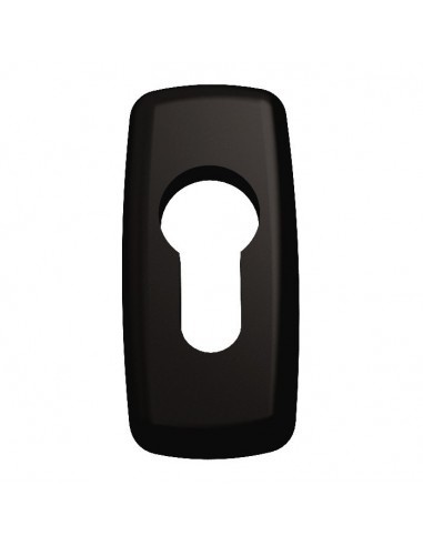 Double handle aluminum handle with rosette for door