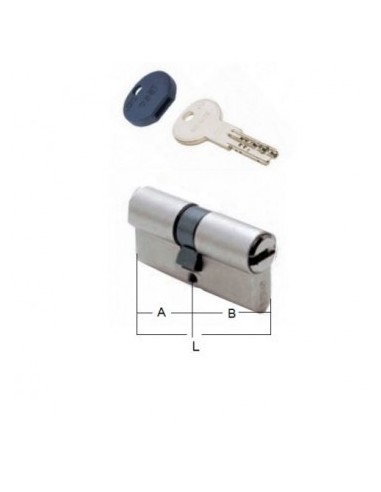 ISEO R6 super safety cylinder with 5 keys +1 construction key