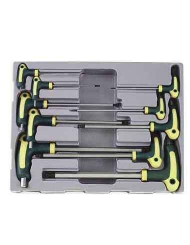 ALLEN T FORCE SET OF 10PCS