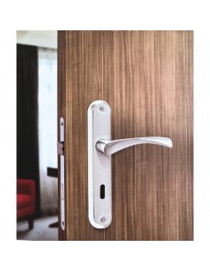 Πόμολο χερούλι με πλάκα ζευγάρι