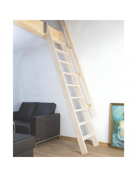 Sloping roof stairs MSP Pivot 