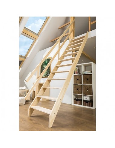 MSU Universal roof stairs