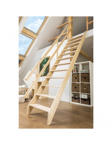 MSU Universal roof stairs