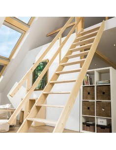 Σκάλες οροφής MSU Universal